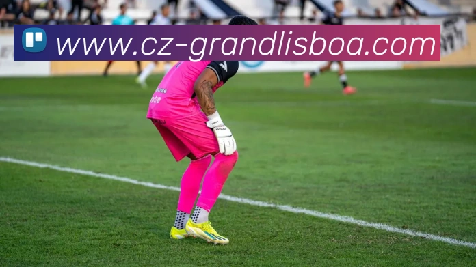 新葡京娱乐APP 高清赛事图